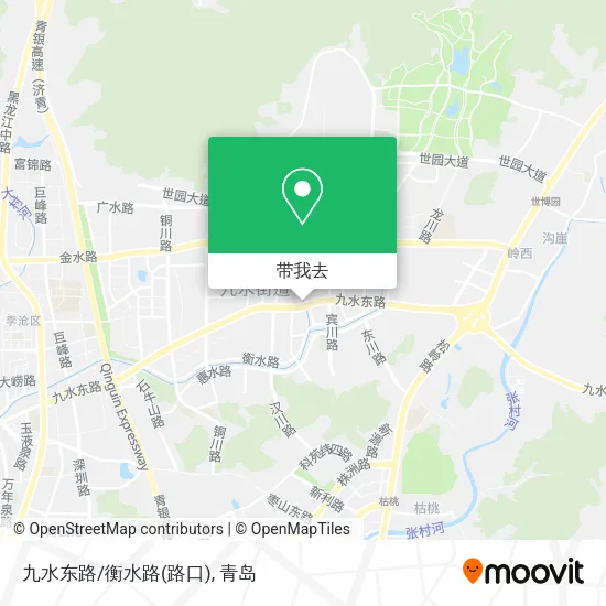 九水东路/衡水路(路口)地图