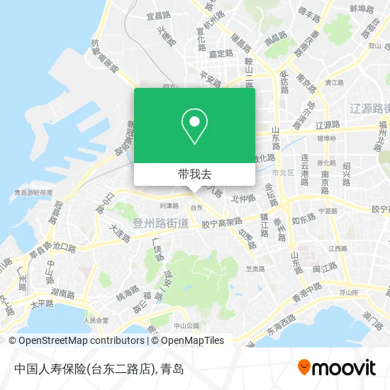 中国人寿保险(台东二路店)地图