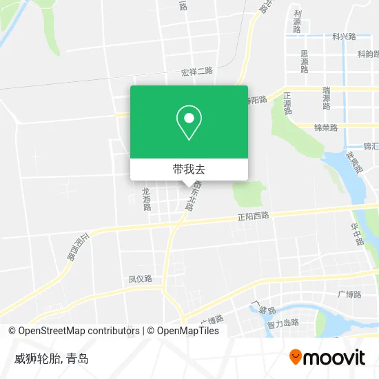 威狮轮胎地图