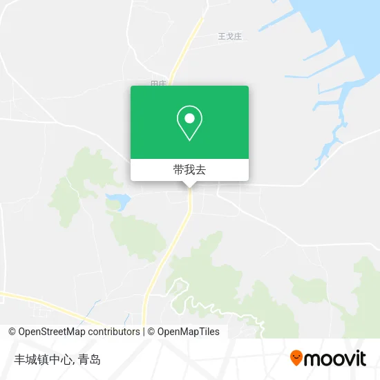 丰城镇中心地图