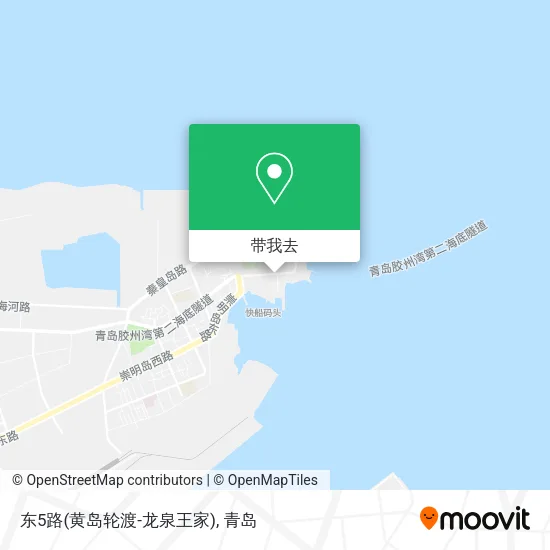 东5路(黄岛轮渡-龙泉王家)地图