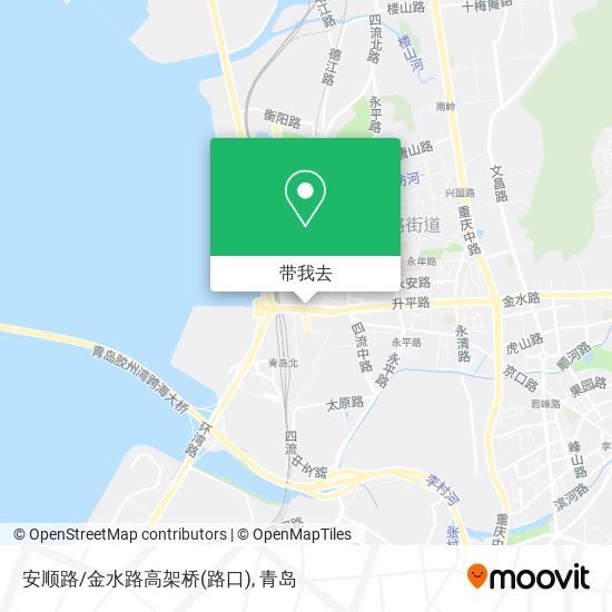 安顺路/金水路高架桥(路口)地图