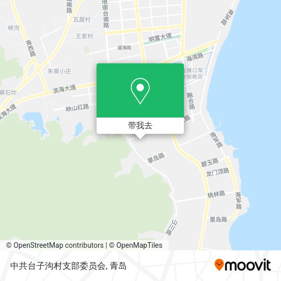 中共台子沟村支部委员会地图