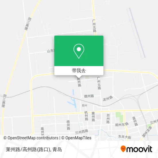 莱州路/高州路(路口)地图