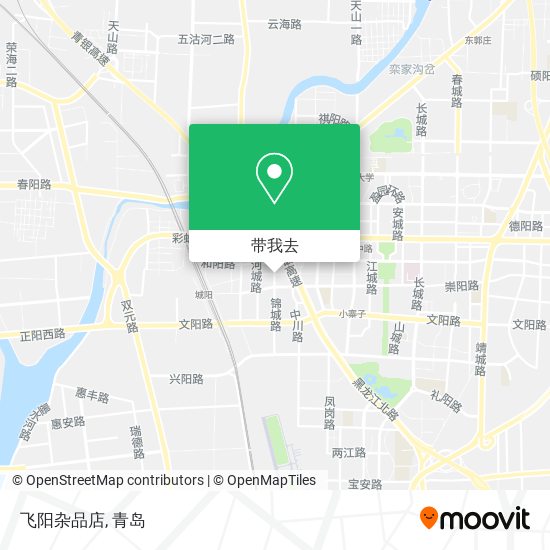 飞阳杂品店地图