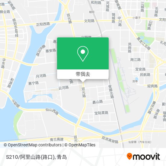 S210/阿里山路(路口)地图