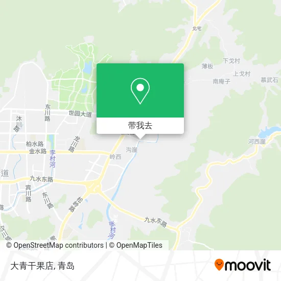 大青干果店地图