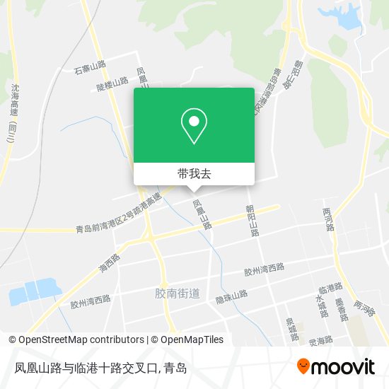 凤凰山路与临港十路交叉口地图