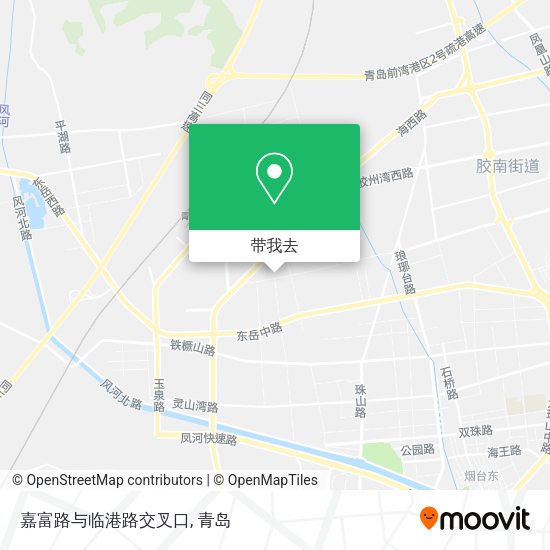 嘉富路与临港路交叉口地图