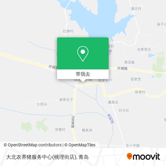 大北农养猪服务中心(桃理街店)地图