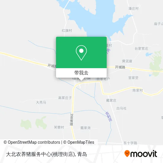大北农养猪服务中心(桃理街店)地图