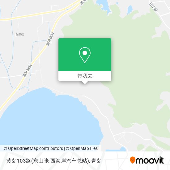 黄岛103路(东山张-西海岸汽车总站)地图