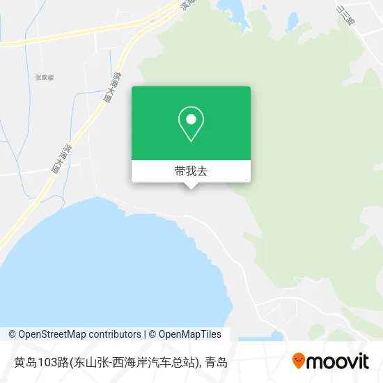 黄岛103路(东山张-西海岸汽车总站)地图