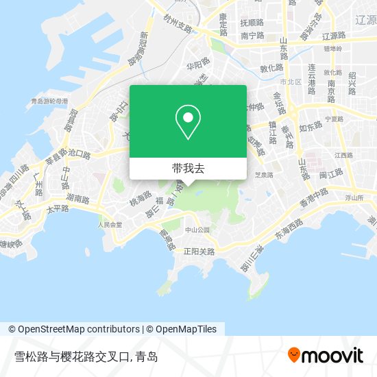 雪松路与樱花路交叉口地图
