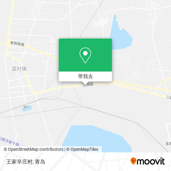 王家辛庄村地图