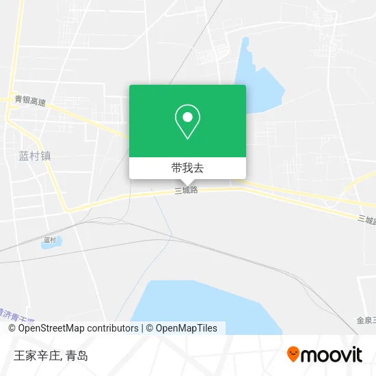 王家辛庄地图