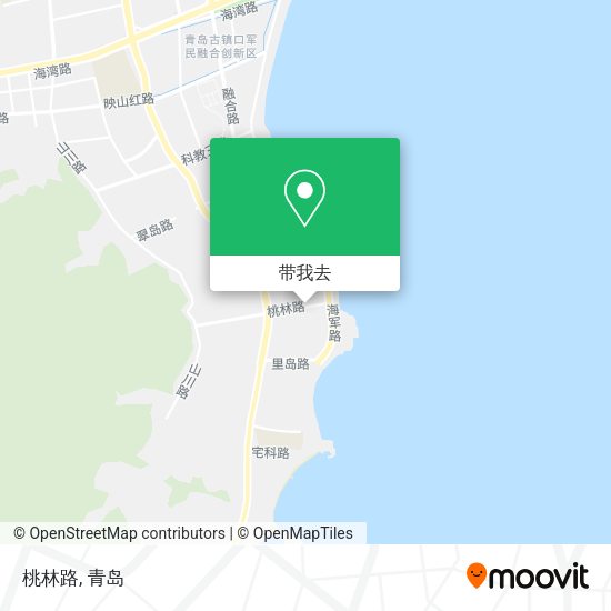 桃林路地图