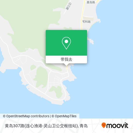 黄岛307路(连心渔港-灵山卫公交枢纽站)地图