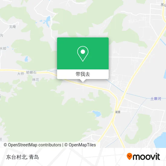 东台村北地图