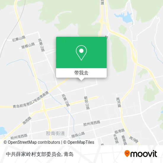 中共薛家岭村支部委员会地图