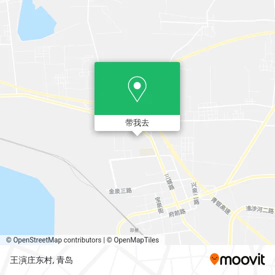 王演庄东村地图