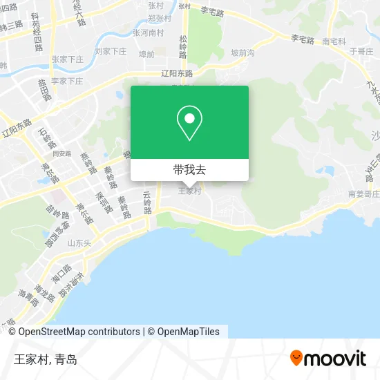 王家村地图