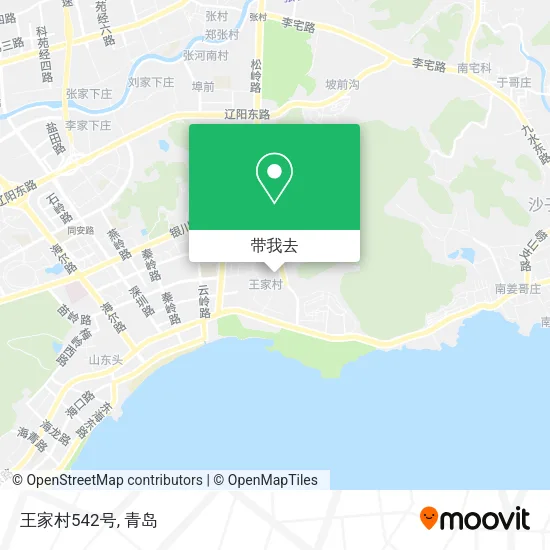王家村542号地图