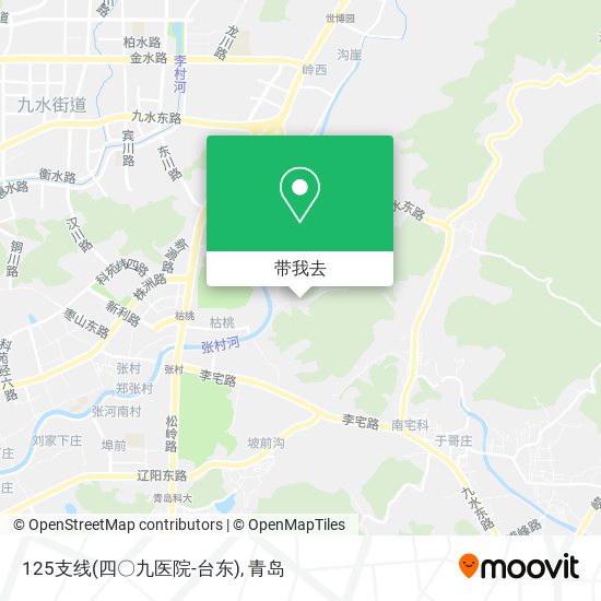 125支线(四〇九医院-台东)地图