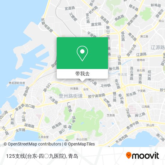 125支线(台东-四〇九医院)地图
