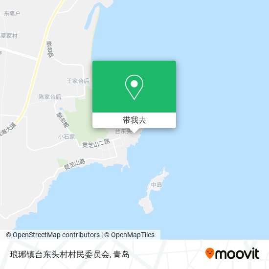 琅琊镇台东头村村民委员会地图