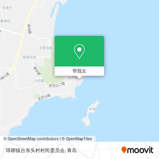 琅琊镇台东头村村民委员会地图