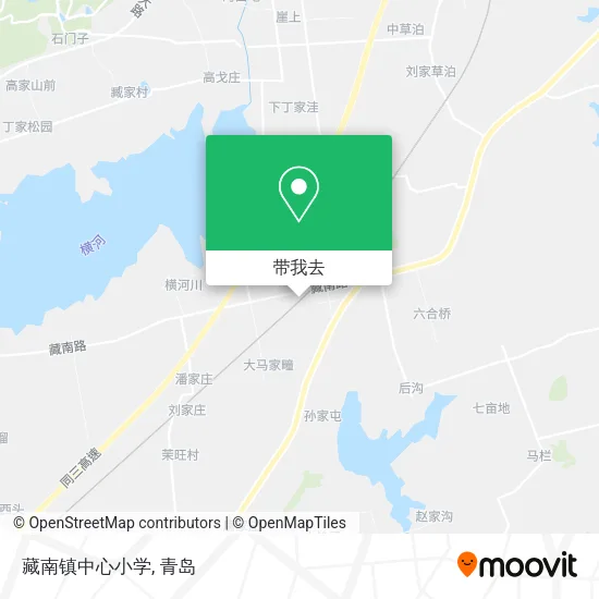 藏南镇中心小学地图
