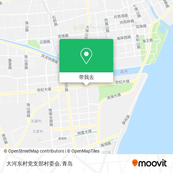 大河东村党支部村委会地图