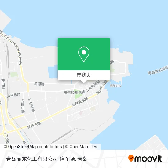 青岛丽东化工有限公司-停车场地图