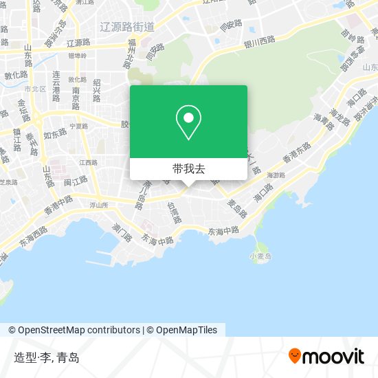 造型·李地图
