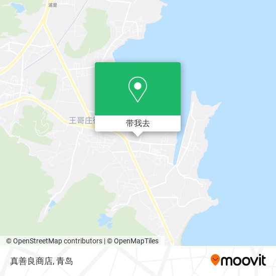 真善良商店地图