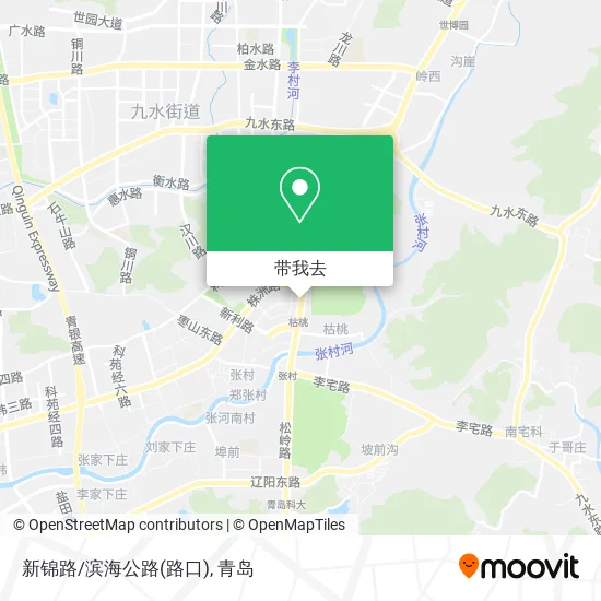 新锦路/滨海公路(路口)地图