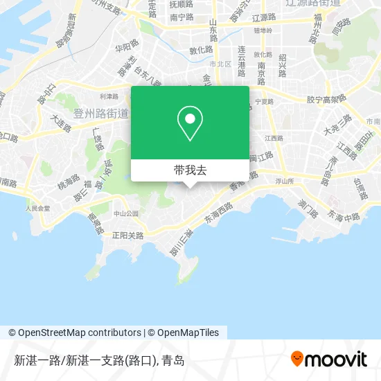 新湛一路/新湛一支路(路口)地图