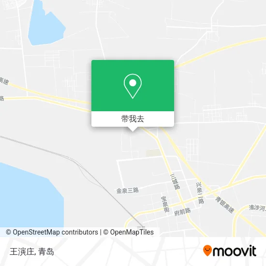 王演庄地图