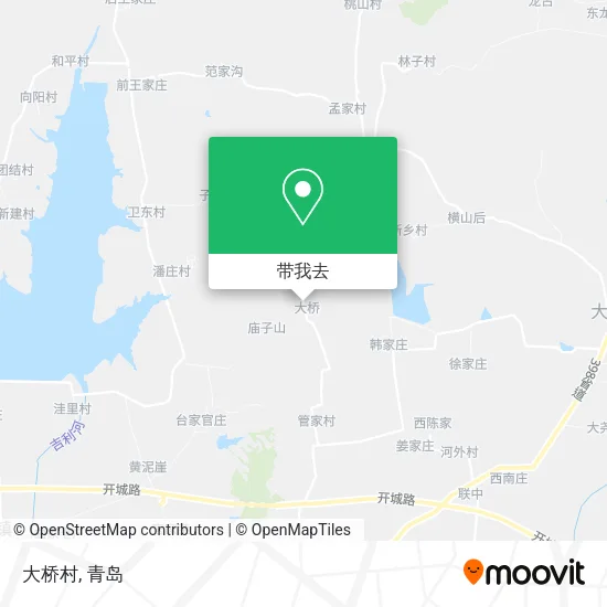 大桥村地图
