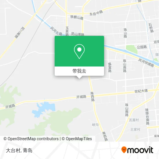 大台村地图
