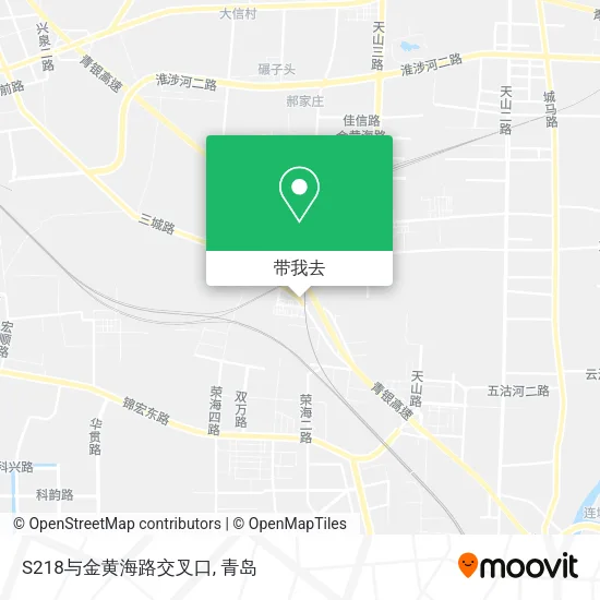 S218与金黄海路交叉口地图