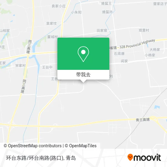 环台东路/环台南路(路口)地图