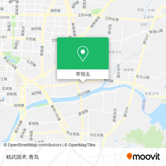 精武国术地图