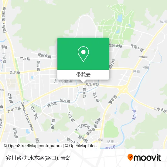 宾川路/九水东路(路口)地图