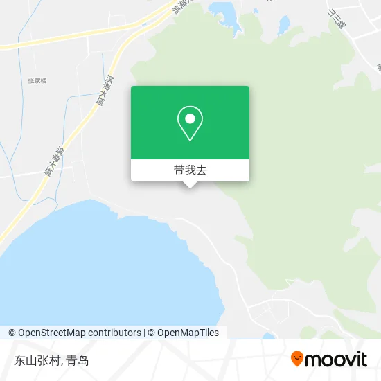 东山张村地图