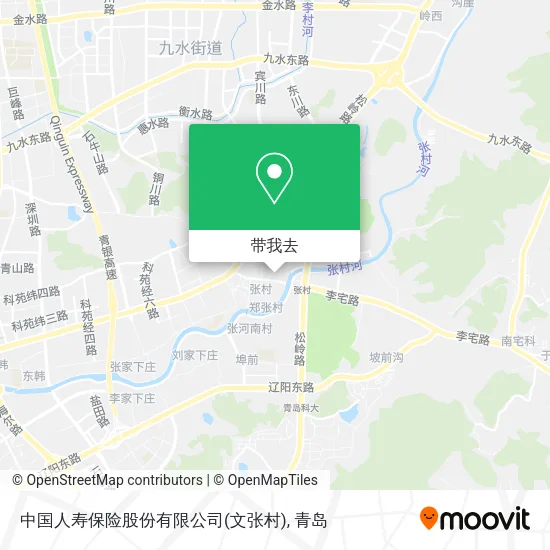 中国人寿保险股份有限公司(文张村)地图