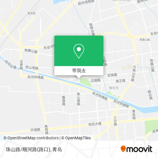 珠山路/顺河路(路口)地图