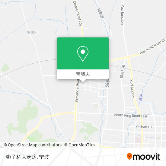 狮子桥大药房地图