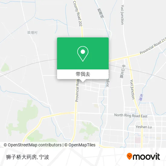 狮子桥大药房地图